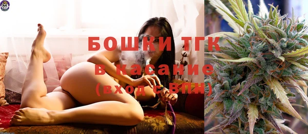 ПСИЛОЦИБИНОВЫЕ ГРИБЫ Балахна