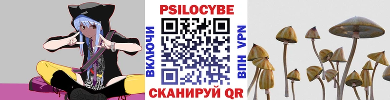 Купить закладки  Электроугли  Псилоцибиновые грибы Cubensis 